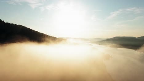 as the first rays of the sun pierce through the dense canopy, a thick fog blankets the mountain forest, creating an ethereal and mysterious atmosphere