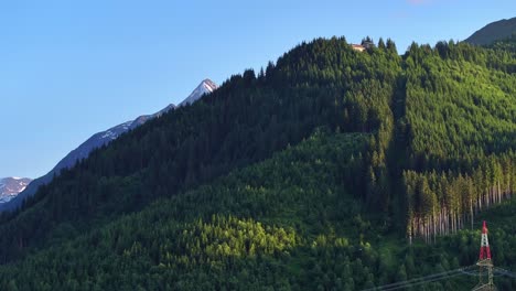 Spruce-trees-foreground,-panning-left-to-reveal-snow-and-rock-Mountains-range