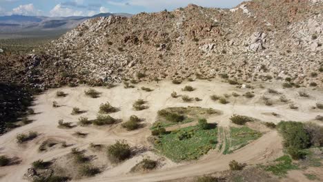 Aerial-shot-of-the-valley-in-desert-with-little-plantation-and-blue-sky,-desert-in-the-afternoon