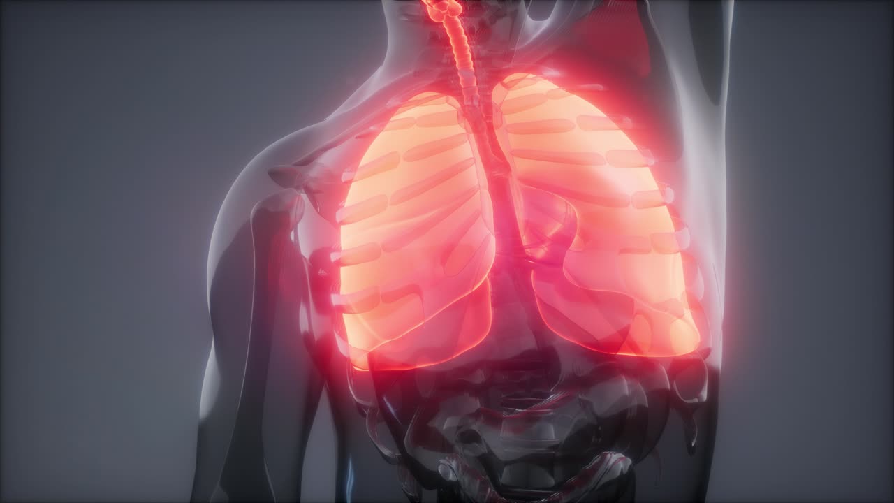 examen radiológico de los pulmones humanos