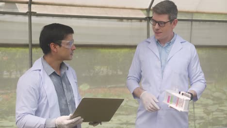 two scientist man research with chemical and laptop computer plant about agriculture in the farm, researcher testing about botany and harvest of produce with biology and science in the gardening.