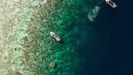 Taucher-Rollen-Vom-Tauchboot-Im-Tropischen-Raja-Ampat,-über-Dem-Lebhaften-Korallenriff-Und-Dem-Tiefblauen-Abfall