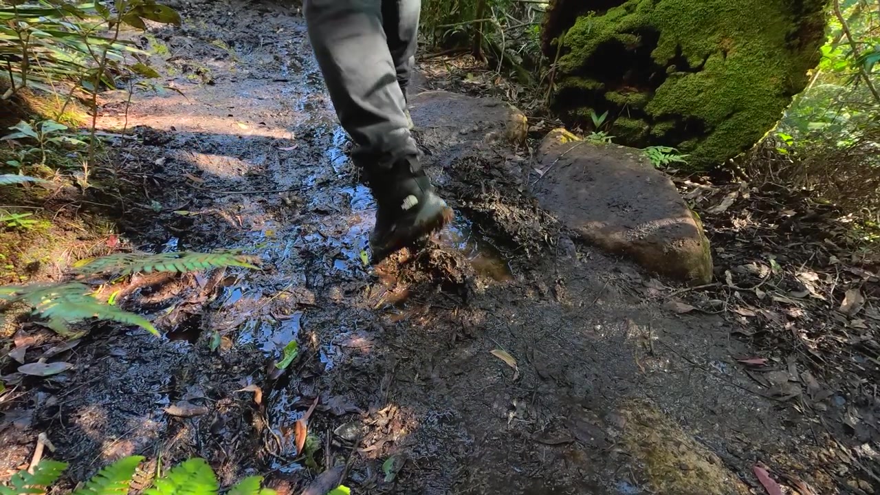 Low angle shot of boots walking through wet mud on a lush rainforest path.