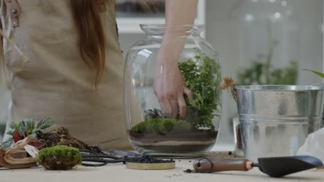 a young woman creates a small ecosystem in a glass terrarium and carefully cares about the plants - a live tiny environment concept close-up