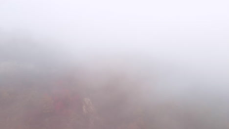 autumnal forest covered in thick fog and mist, aerial nature landscape