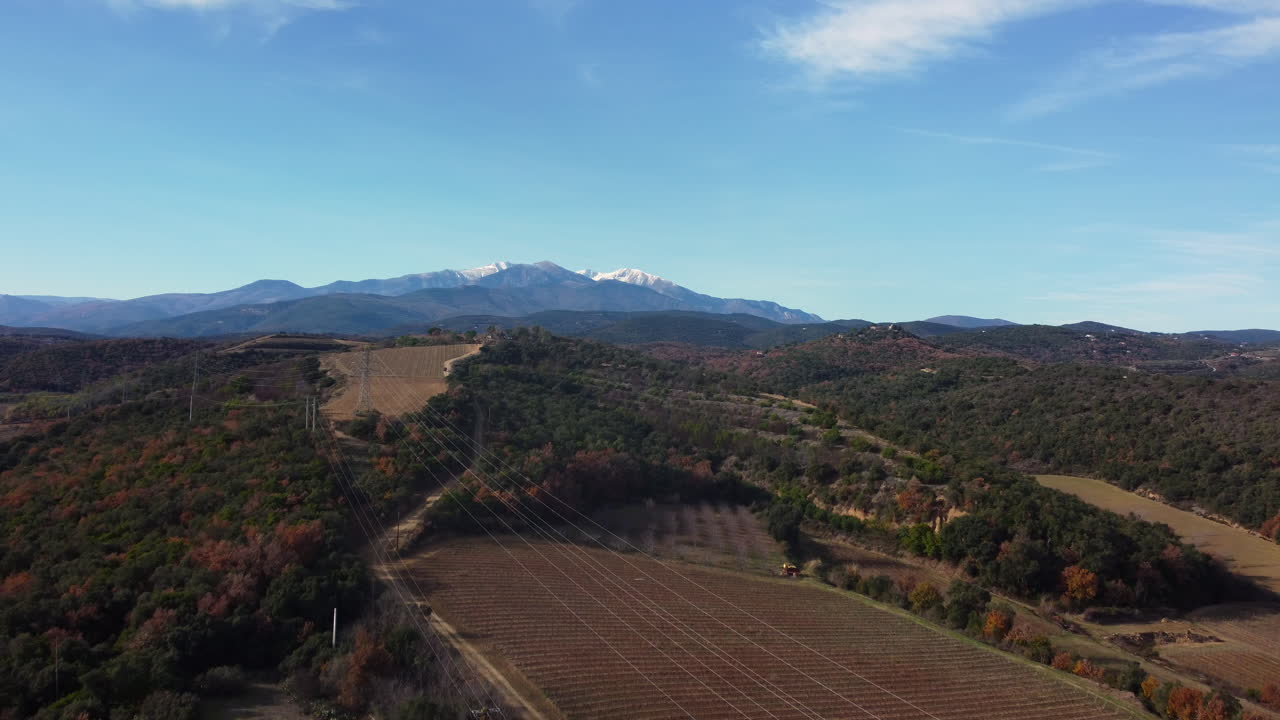 paisaje de viñedos alpinos con picos cubiertos de nieve