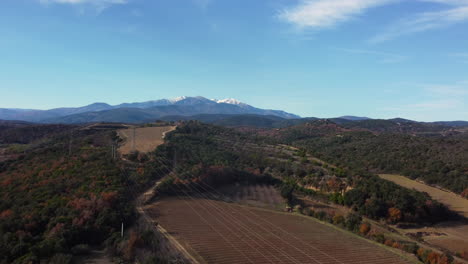 alpine vineyard landscape with snow-capped peaks