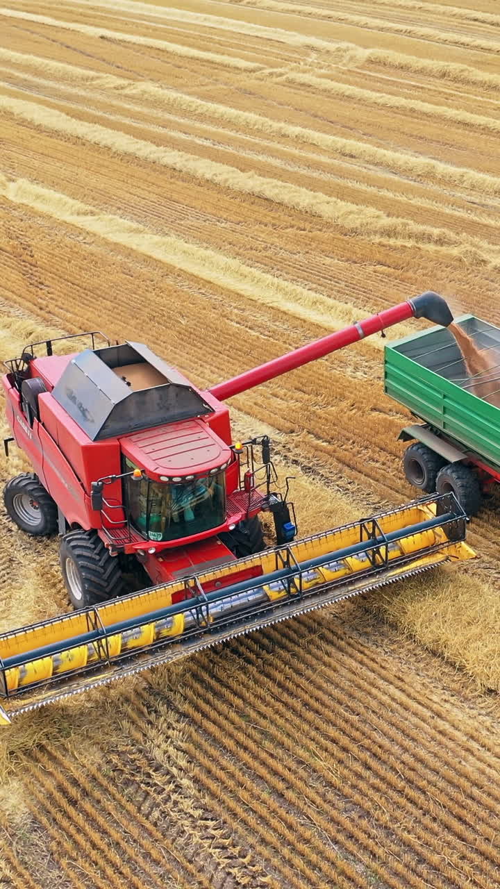 Harvesting field with combine. Aerial view on the combines and tractor working on the large wheat field Vertical video