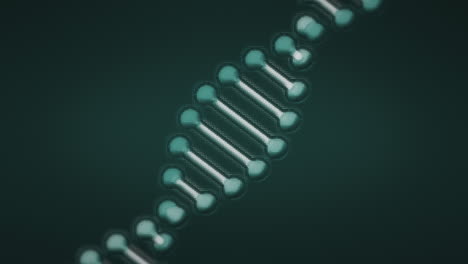 animación de manchas sobre la cadena de adn.