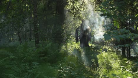 shaman walks in the forest, plays the drum