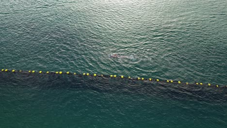 Disparo-Ascendente-De-Un-Nadador-Bajo-El-Agua-En-Un-Océano-Despejado-Durante-La-Luz-Del-Atardecer-En-El-Par