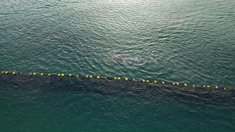 disparo de drone ascendente de un nadador bajo el agua en un océano despejado durante la puesta de sol incluso en la noche