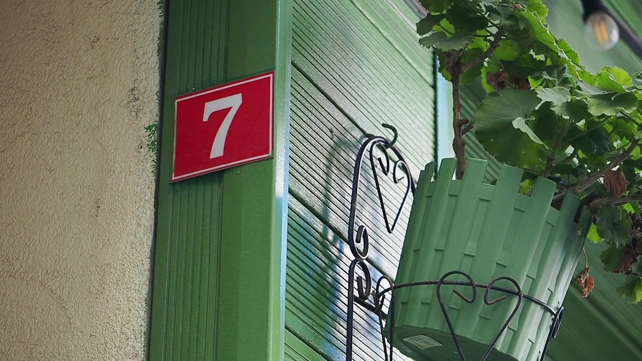 Numero civico sette su una parete di legno verde con una pianta in vaso