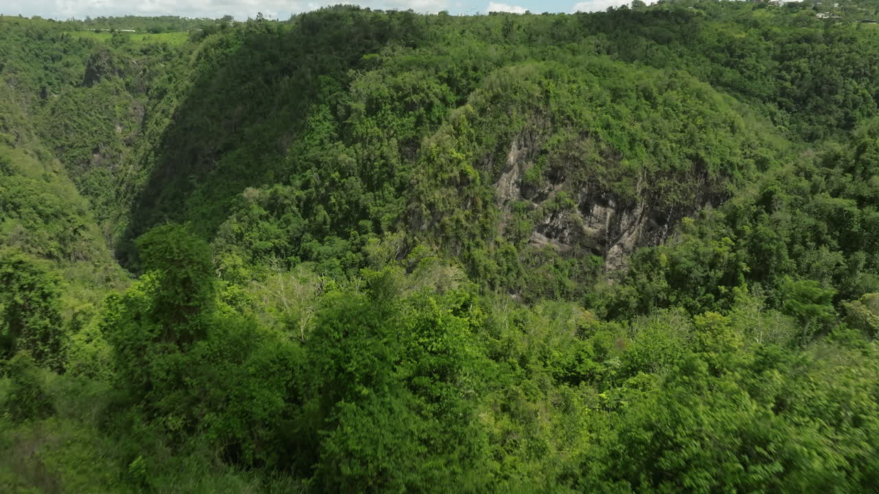 en las montañas de san cristobal, puerto rico.