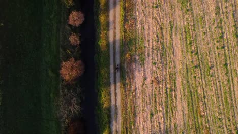 Moped-In-Der-Goldenen-Stunde-Auf-Einem-Schotterweg-Von-Oben-Nach-Unten,-Drohnenaufnahme