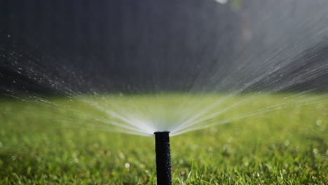 slider shot: automatic watering system watering the garden. bottom view of the high-pressure nozzle