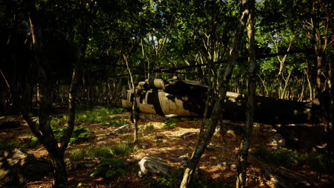 military helicopter in deep jungle