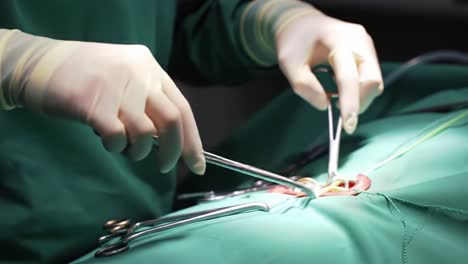 a close-up look at surgical precision: the careful hands of a surgeon in action during a medical procedure with essential instruments and techniques