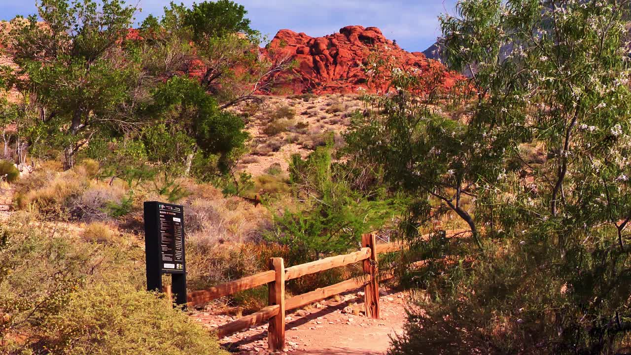 Southwest hiking at Red rock canyon in Nevada