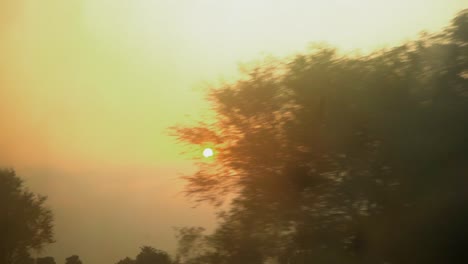 estilo de sol pasando a través de árboles puesta de sol naranja amanecer india tren pov cámara lenta rajasthan gujrat ferrocarril indio