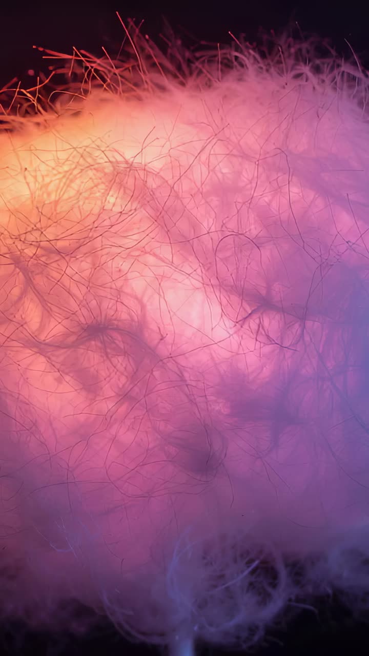 Vertical video: Glowing tuft of fine fibers at studio, orange LED lifting strands and showing stem