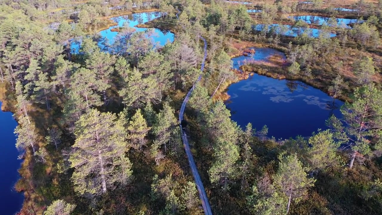 Luftfoto av en mann som løper på en tresti gjennom en vidstrakt myr i Estland. Scenen viser gyldne høstfarger, krokete furutrær og reflekterende torvdammer under en skyet solnedgangshimmel.