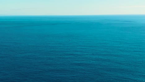 vast ocean landscape