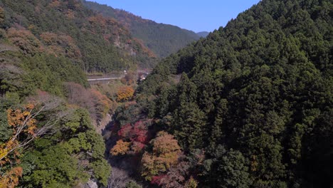 vista bloqueada del follaje de otoño contra el cielo azul y la carretera en la naturaleza