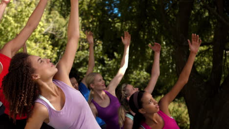 in high quality format fitness group doing yoga in park