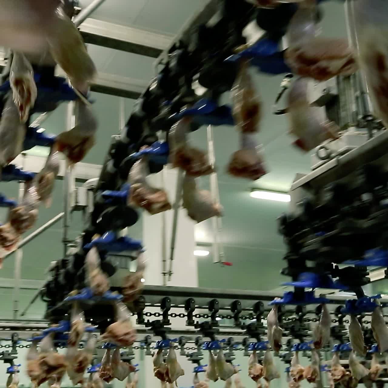 Poultry Processing Plant