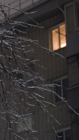 ramas de árboles cubiertas de nieve en primer plano con luz tenue que fluye de las ventanas residenciales en el fondo, creando una atmósfera serena de la noche de invierno