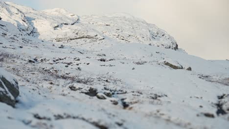 Der-Erste-Schnee-Bedeckt-Die-Arktische-Landschaft