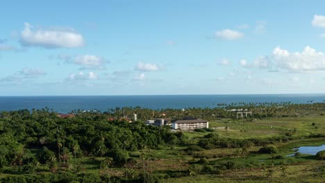 ripresa aerea del drone in aumento che rivela la bellissima costa tropicale di pernambuco, brasile vicino alla famosa spiaggia turistica di porto de galinhas o porto di pollo con palme e acqua cristallina