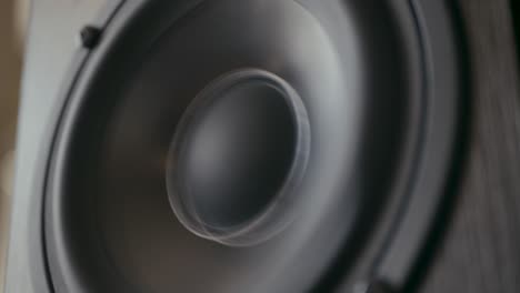 Speaker-cone-in-out-pumping-from-bass-sound