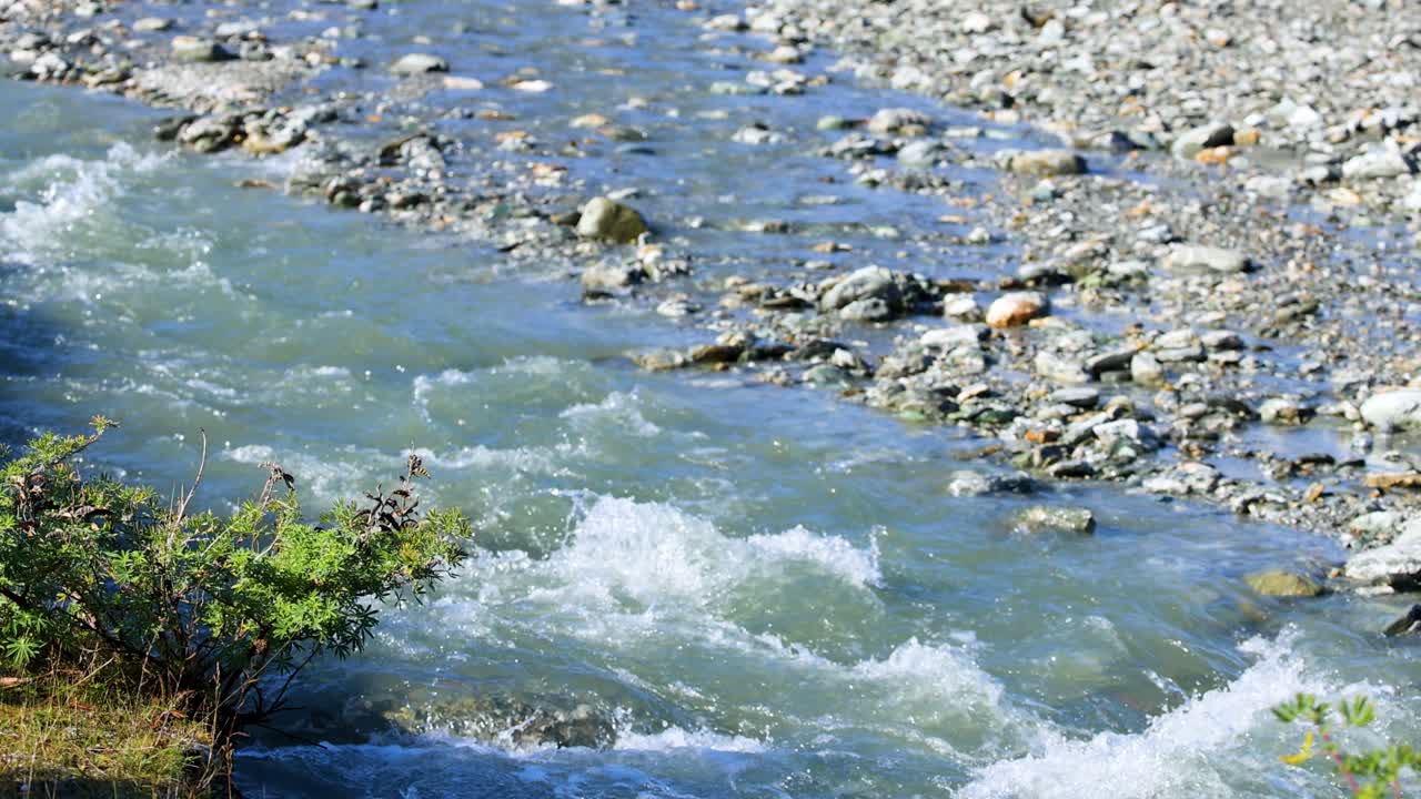 A serene stream flows over rocks in Glenorchy, New Zealand, with lush greenery and clear blue water under bright daylight