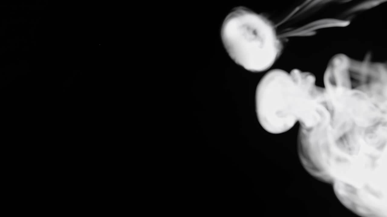 검은색 배경에 담배 반지