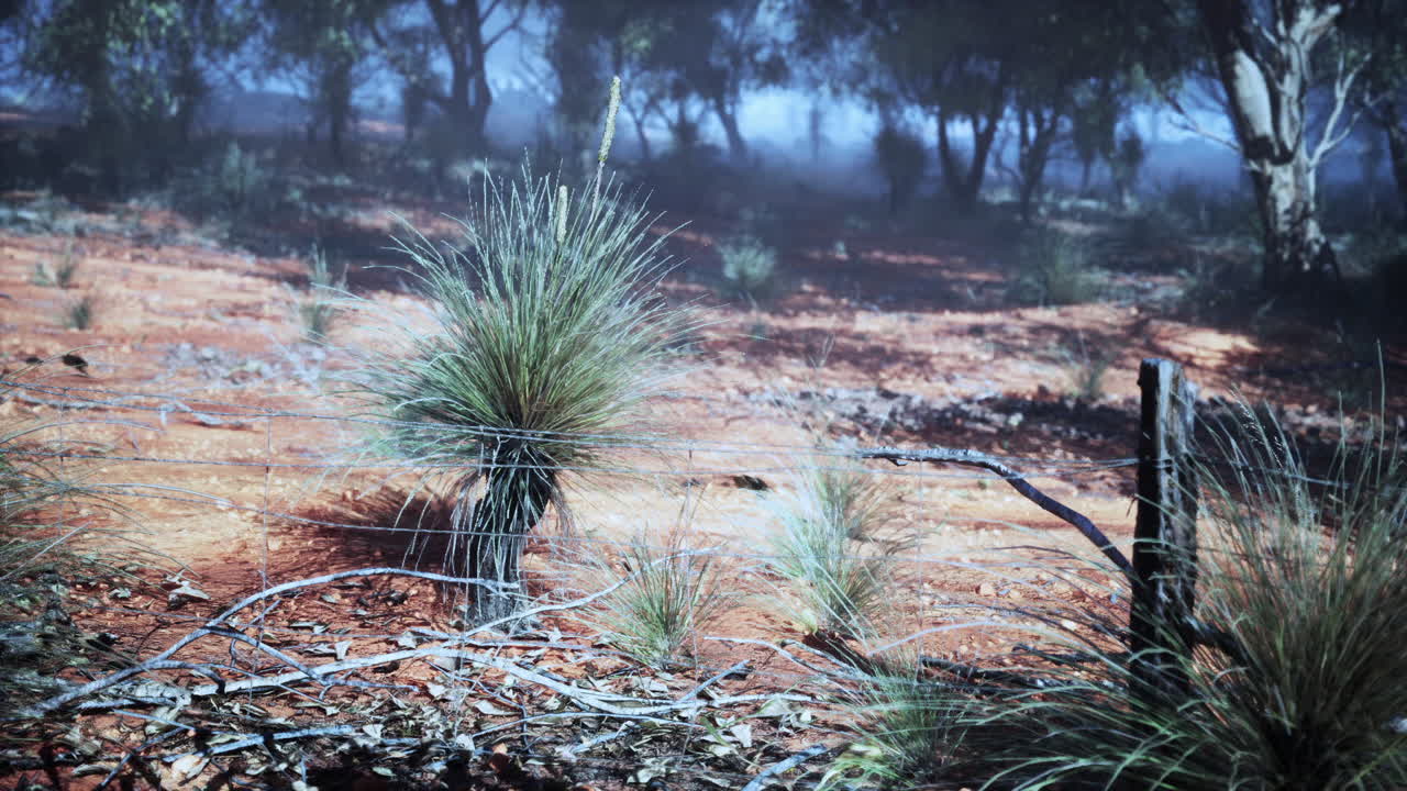 Grassy field with fence