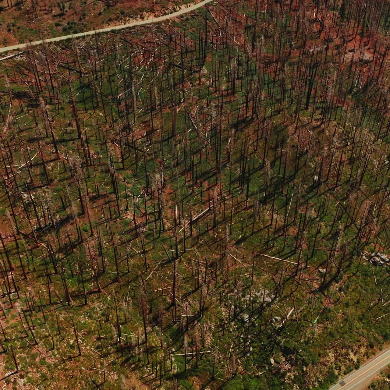 Aerial view of summer mountain tourism. Forest national park yosemite valley