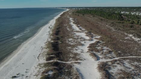 low flight along a natural florida beach at natural erosion protection of hills and beach grasses and plants