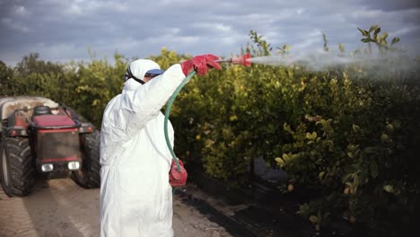 granjero rocíe insecticida, pesticida, pesticidas o insecticidas rociando en limoneros campo agrícola en españa