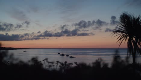 Shot-of-ocean-and-boats-at-sunset-with-plants-and-trees-in-foreground