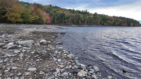 quabbin reservoir shoreline with gentle waves against the shore surrounded by trees and open water