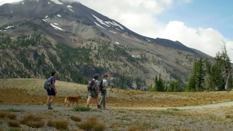 medium shot of friends hiking