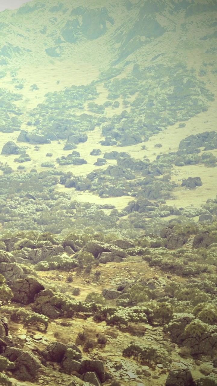 Nature landscape with rocks and shrubs in a dry area during daytime hours