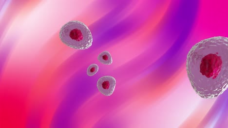 Animation-Von-Mikrozellen-Aus-Roten-Und-Rosafarbenen-Zellen-Auf-Rosa-Und-Violettem-Hintergrund