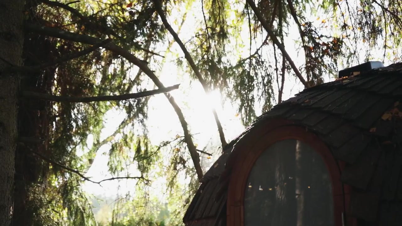 Capanna nella foresta illuminata dal tramonto. Lettonia, Milzkalne. 13 ottobre 2021