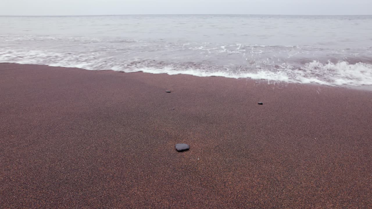 Scenic Tropical Beach with Palm Trees and Lava Rocks in São Tomé and Principe