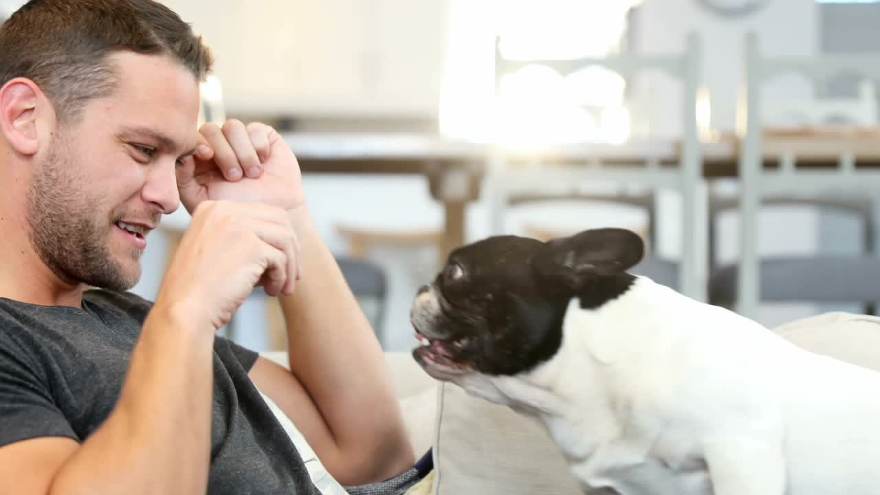 Dog approaching sofa, man laughing and cradling dog, confetti overlay showing pet marketing moment