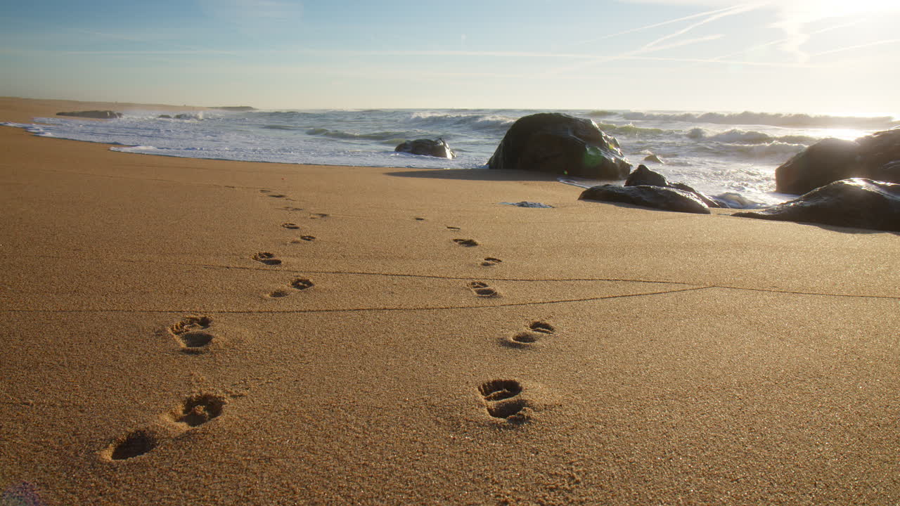 Human footprints in the sand of a beach in Portugal at sunrise. Low angle