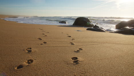 human footprints in the sand of a beach in portugal at sunrise. low angle